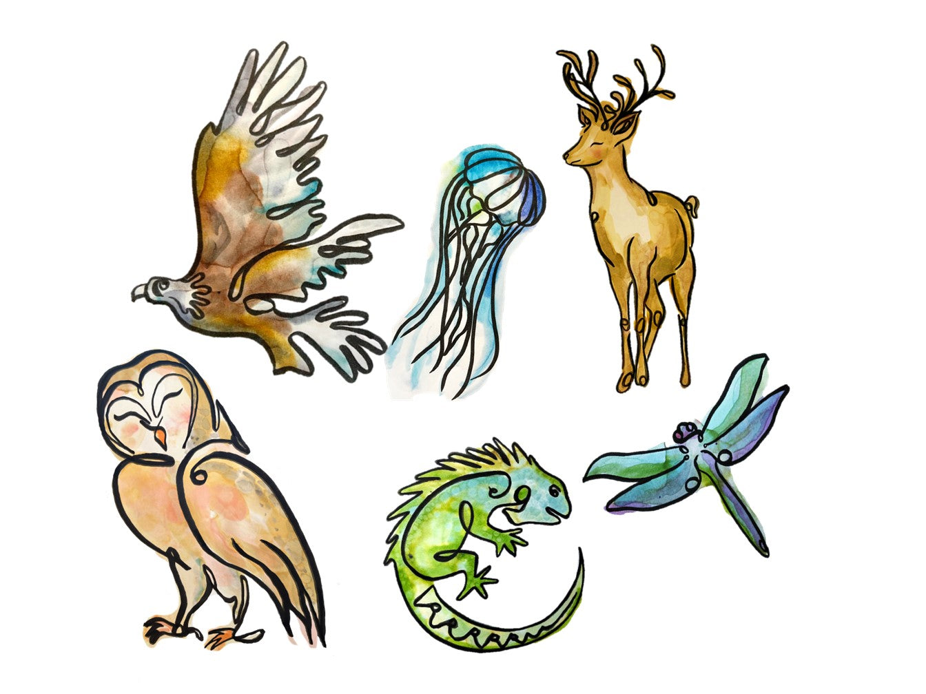 Personalised Animal Name Prints - A3 Framed