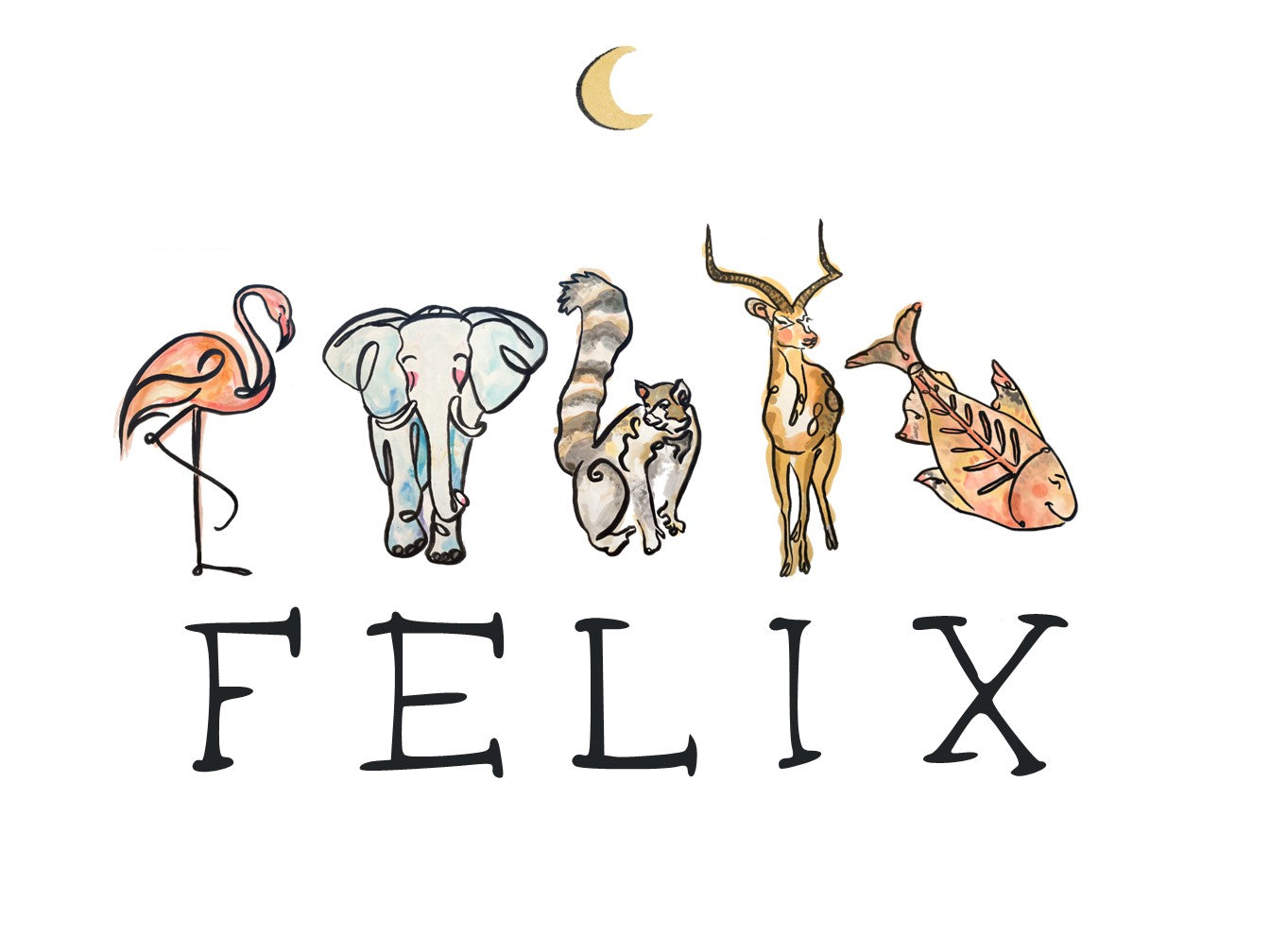 Personalised Animal Name Prints - A3 Framed