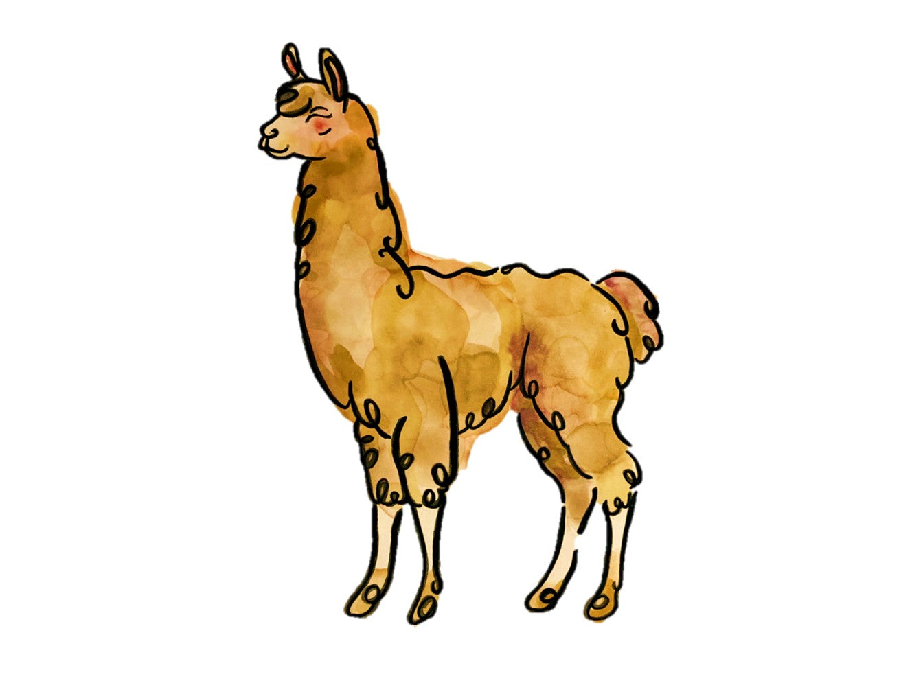 Personalised Animal Name Prints - A3 Framed